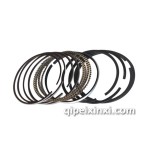 开瑞活塞环总成